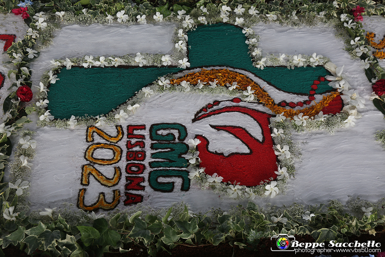 VBS_9725 - Infiorata di Villanova d'Asti 2023.jpg